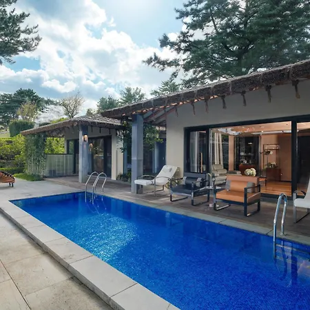 Amber Pure Hill Hotels & Resorts Jeju-2